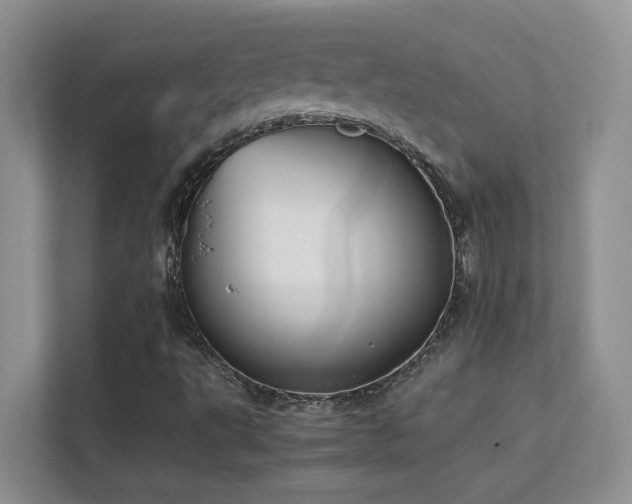 X0000112211495200908071443