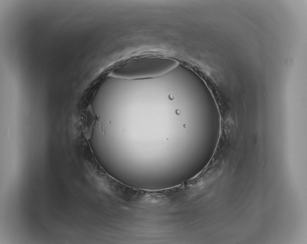 X0000112211496200908071443
