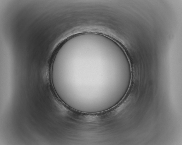X0000112211498200908071443