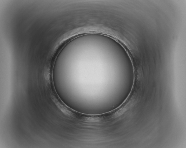X0000112211499200908071443