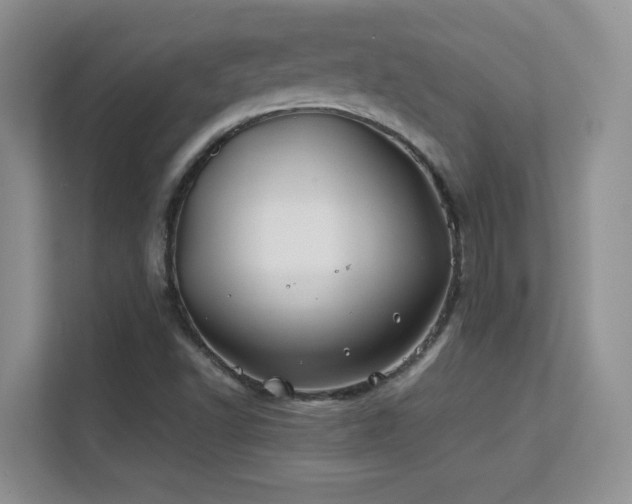 X0000112211502200908071443