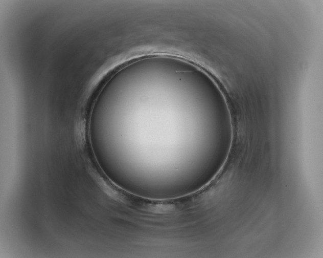 X0000112211503200908071443
