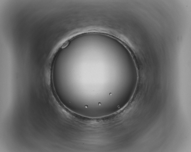 X0000112211504200908071443