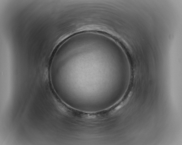X0000112211505200908071443