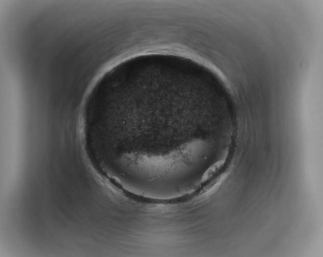 X0000112211506200908071443