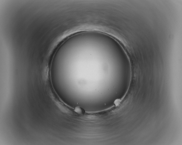 X0000112211507200908071443