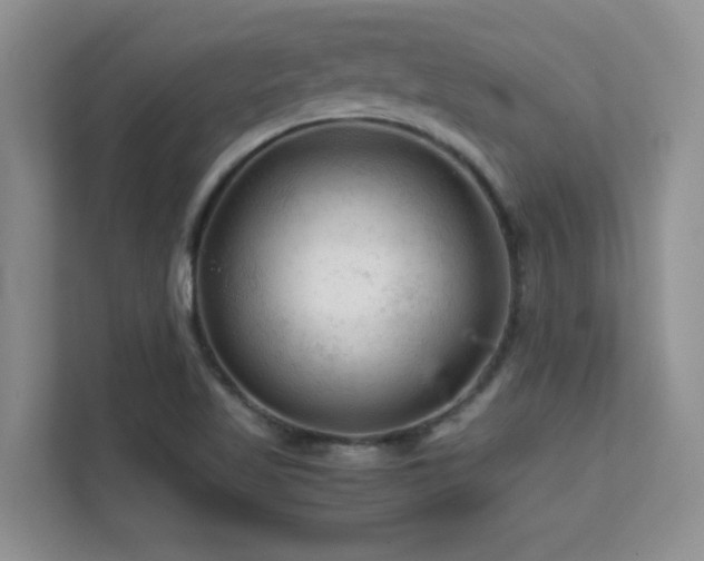 X0000112211509200908071443
