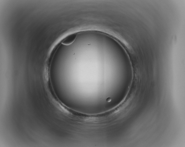 X0000112211510200908071443