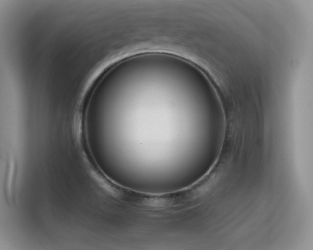 X0000112211511200908071443