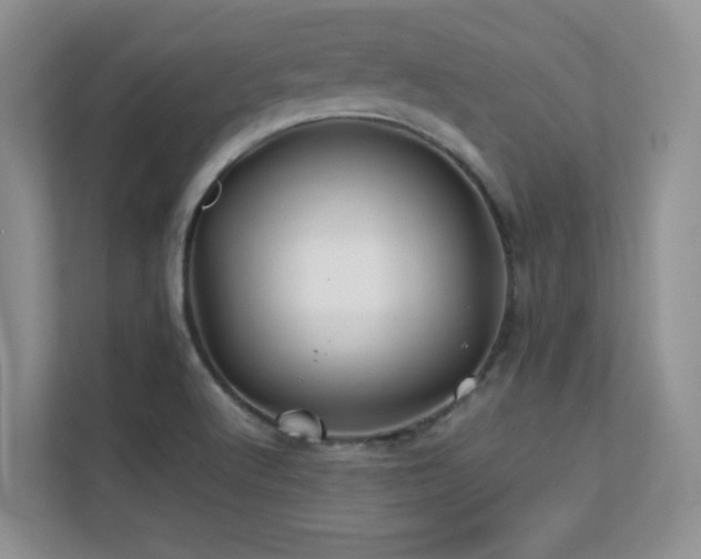 X0000112211512200908071444
