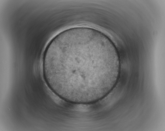 X0000112211514200908071444