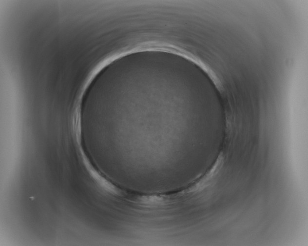 X0000112211515200908071444