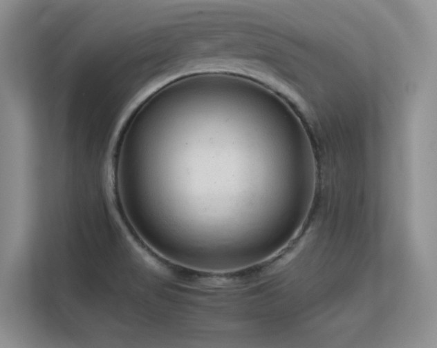 X0000112211517200908071444