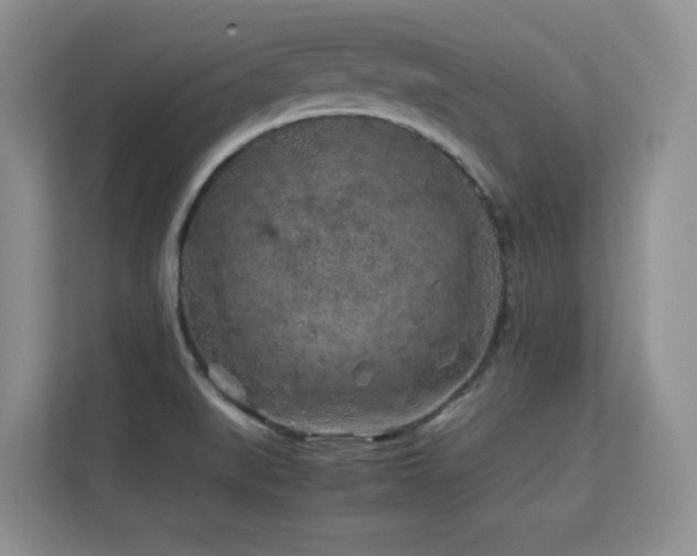 X0000112211519200908071444