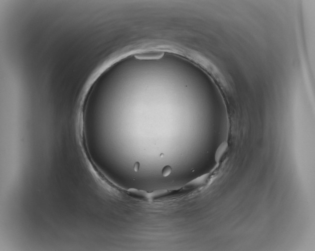 X0000112211520200908071444
