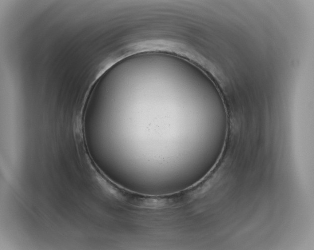 X0000112211521200908071444