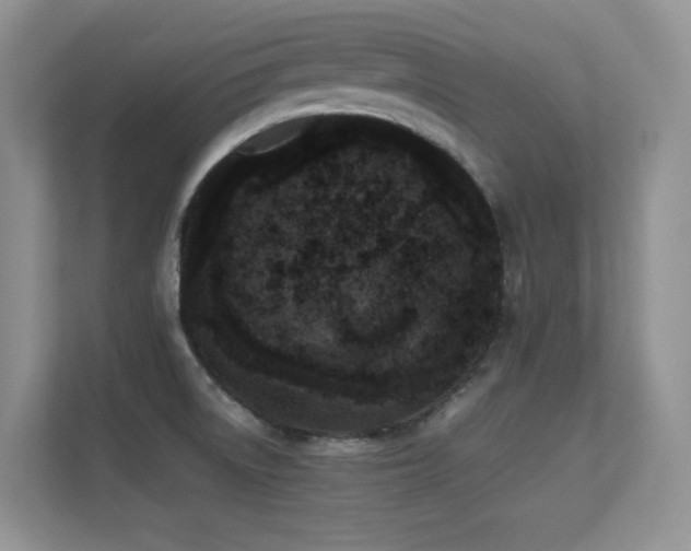 X0000112211522200908071444