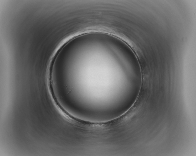 X0000112211523200908071444