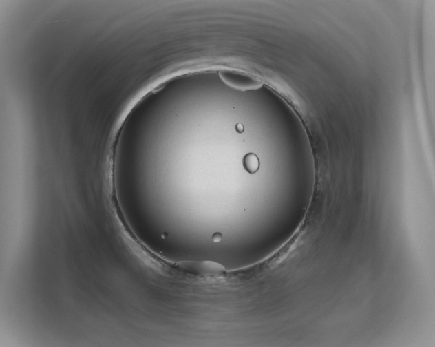 X0000112211524200908071444