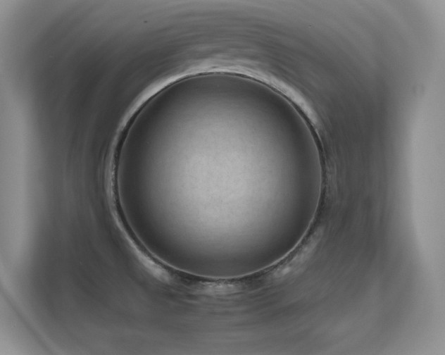 X0000112211525200908071444
