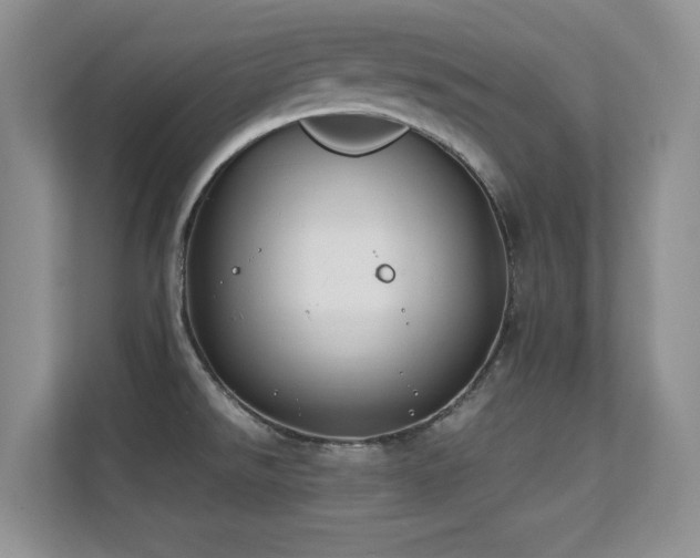X0000112211526200908071444