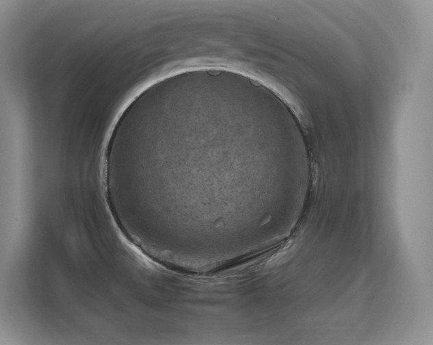 X0000112211527200908071444