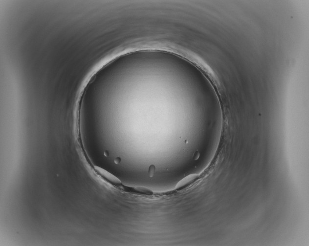 X0000112211528200908071444