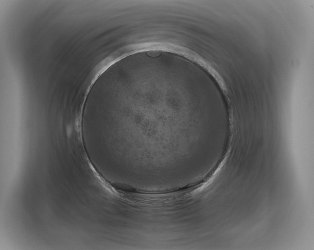 X0000112211529200908071444