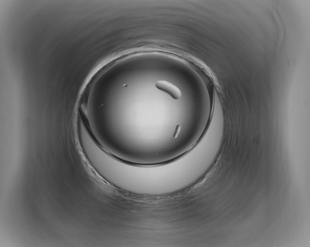 X0000112211530200908071444