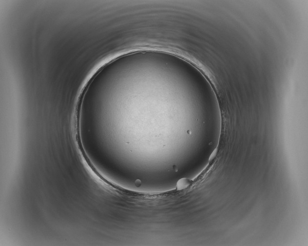 X0000112211531200908071444