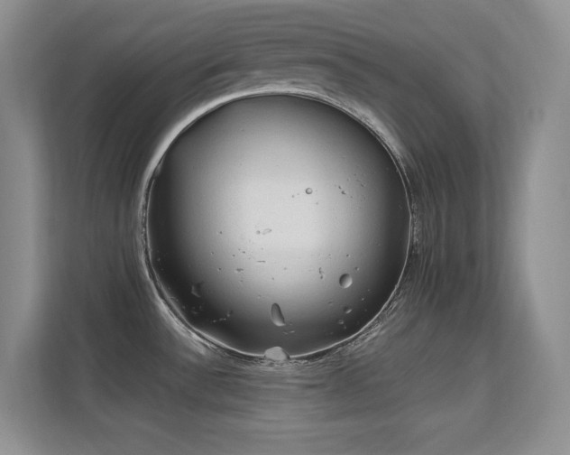 X0000112211532200908071444