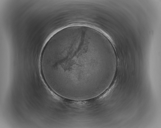 X0000112211533200908071444