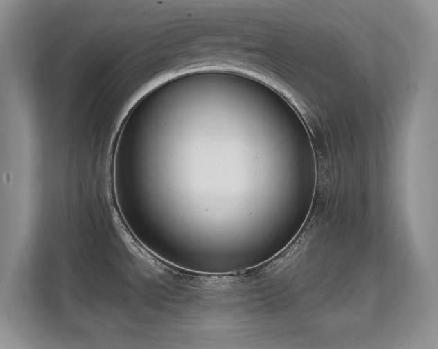 X0000112211534200908071444