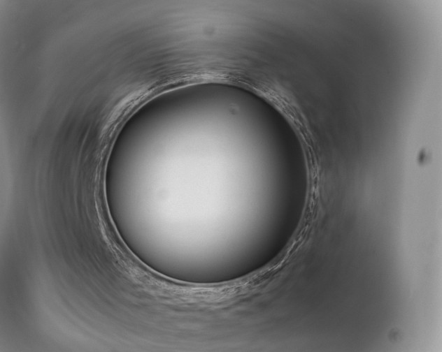 X0000112210001200908141509