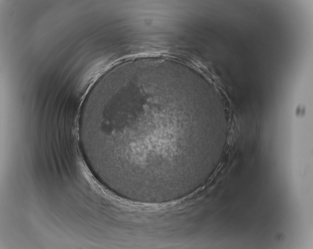 X0000112210002200908141509