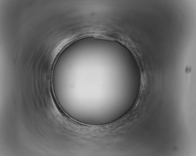 X0000112210003200908141509