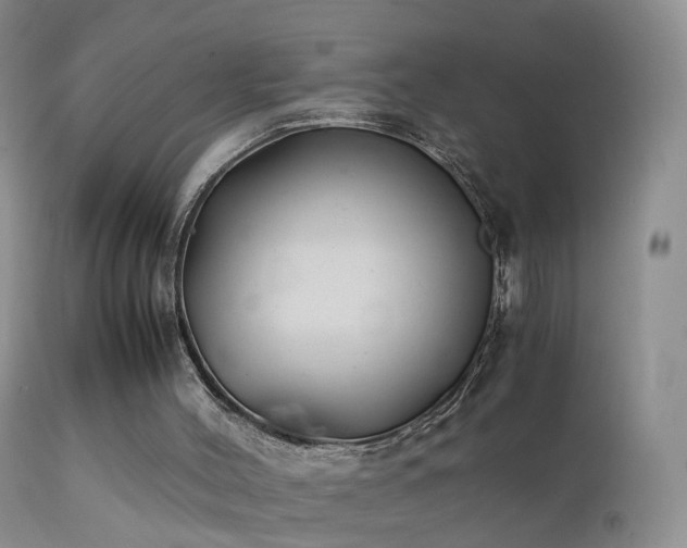 X0000112210004200908141509