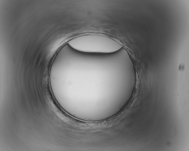 X0000112210005200908141509