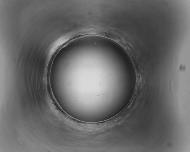 X0000112210006200908141509