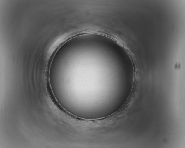 X0000112210007200908141509