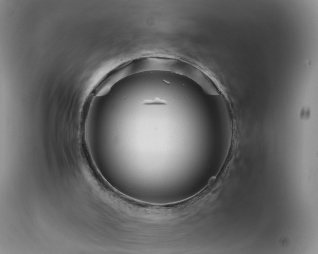 X0000112210008200908141509