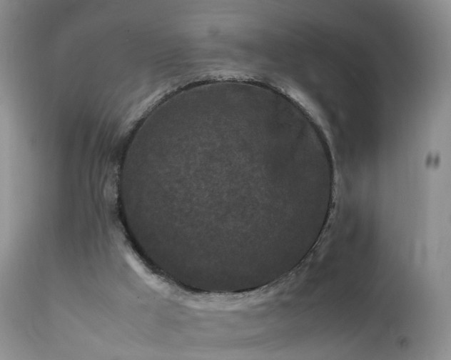 X0000112210009200908141509