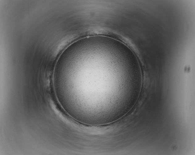 X0000112210010200908141509