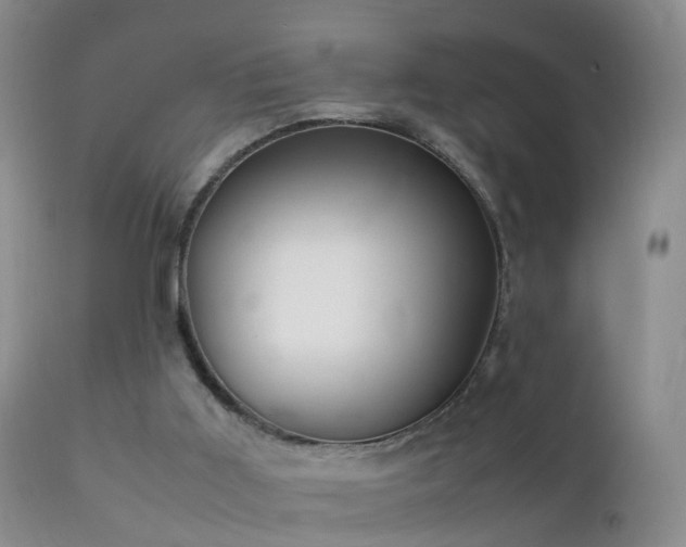 X0000112210011200908141509