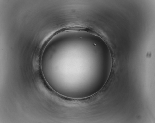 X0000112210012200908141509