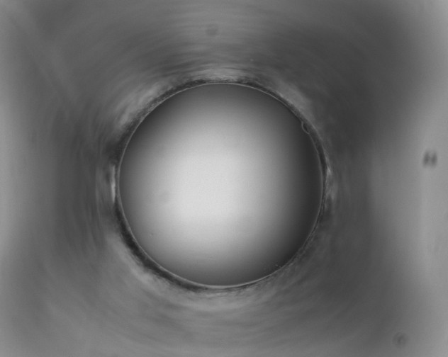 X0000112210013200908141509