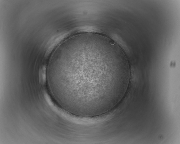 X0000112210014200908141509