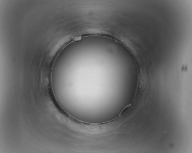 X0000112210015200908141509