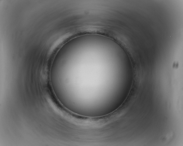 X0000112210016200908141509