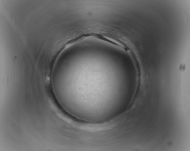 X0000112210017200908141509